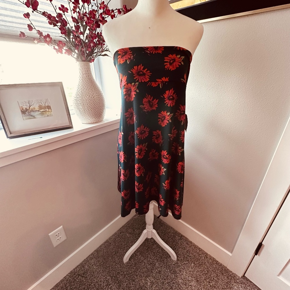 Lot of 2 LulaRoe Azure Skirts, Size Large